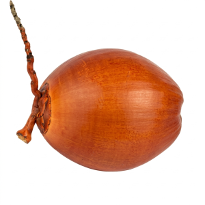 Dừa Đỏ
